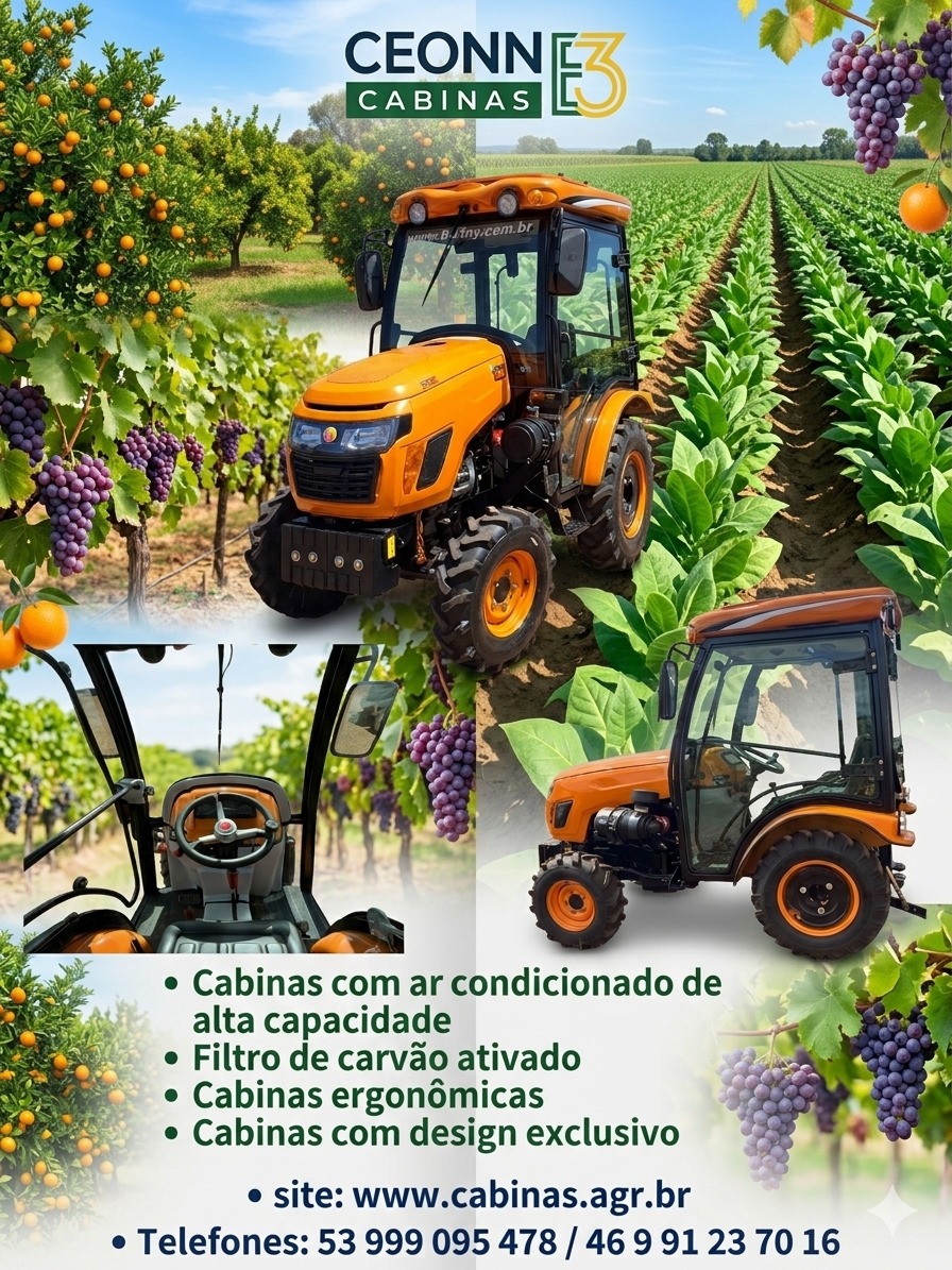 Budny em pomar, vinhedo e fumicultura