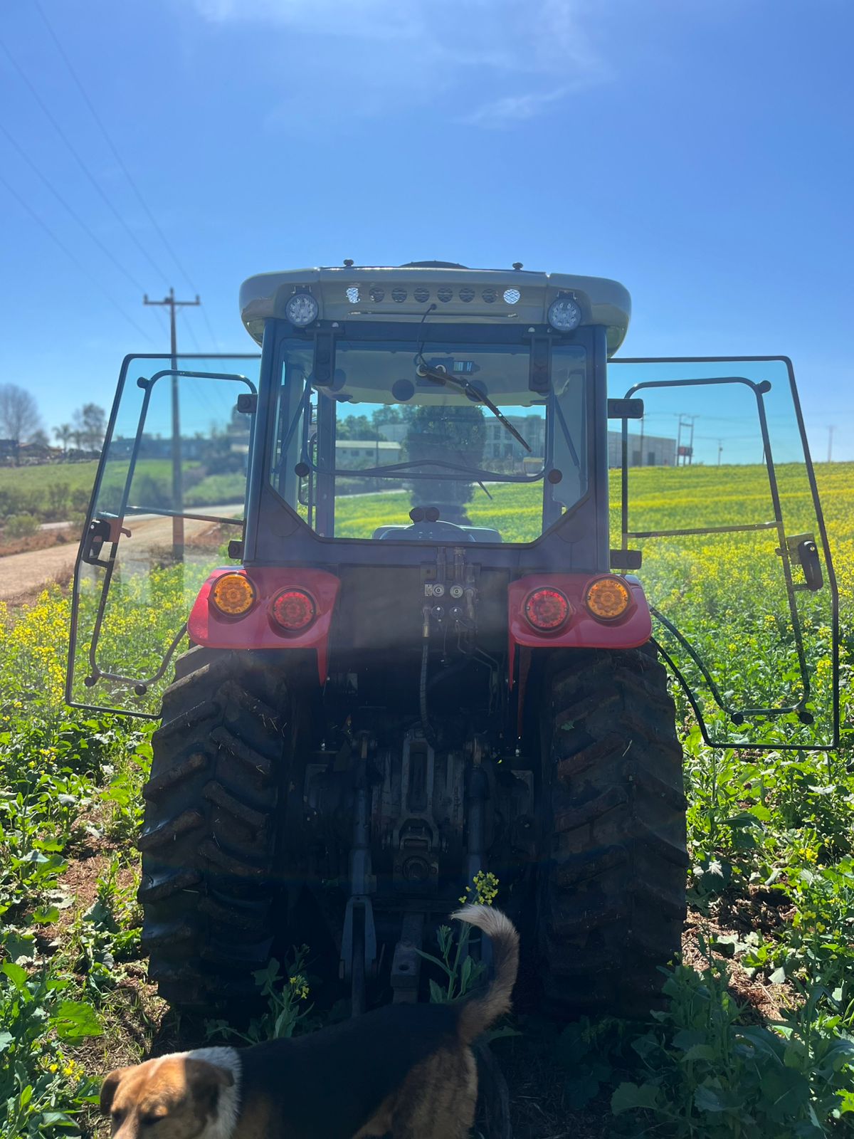 Massey Ferguson em campo — vista traseira com portas abertas